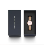 Daniel Wellington Petite Pink Rose Gold Women's Analog Watch DW00100513K