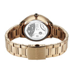 Titan Stellar Brown Men's Watch 10028WM01