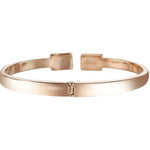 Titan Raga Memoirs Women's Watch 95253WM02