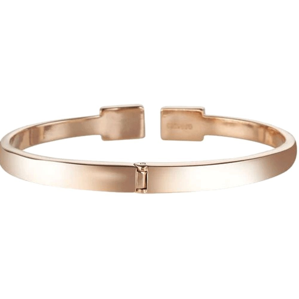 Titan Raga Memoirs Women's Watch 95253WM02