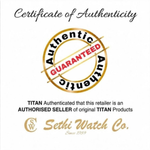 Titan Workmode Silver Women's Watch 95321SM01