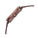 Titan Raga Moments of Joy Stainless Steel  Brown Case With Brown Dial Women's Watch NU95139QM02