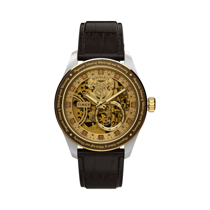 Timex Harry Potter x Waterbury Black Men Watch TW2Y75500